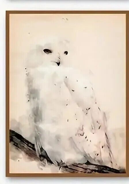 HARRY POTTER CANVAS Wall Art Movie Poster Print Picture HOGWARTS HEDWIG POTION