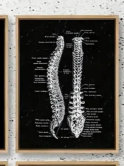 Human Anatomy Medical Wall Art Skeleton Organ Muscle System Canvas Poster DOCTOR