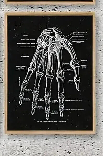Human Anatomy Medical Wall Art Skeleton Organ Muscle System Canvas Poster DOCTOR