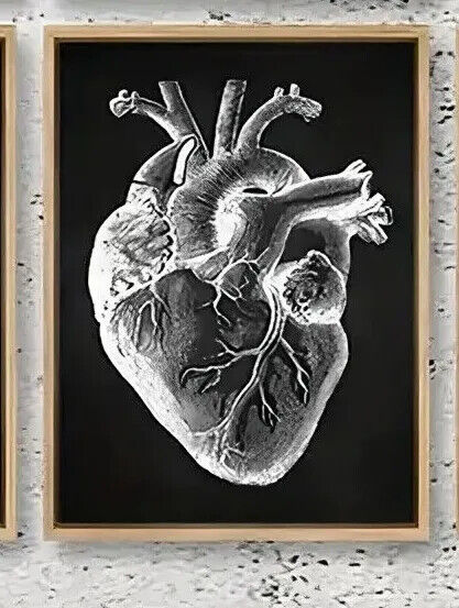 Human Anatomy Medical Wall Art Skeleton Organ Muscle System Canvas Poster DOCTOR
