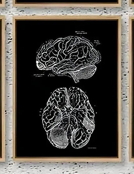 Human Anatomy Medical Wall Art Skeleton Organ Muscle System Canvas Poster DOCTOR