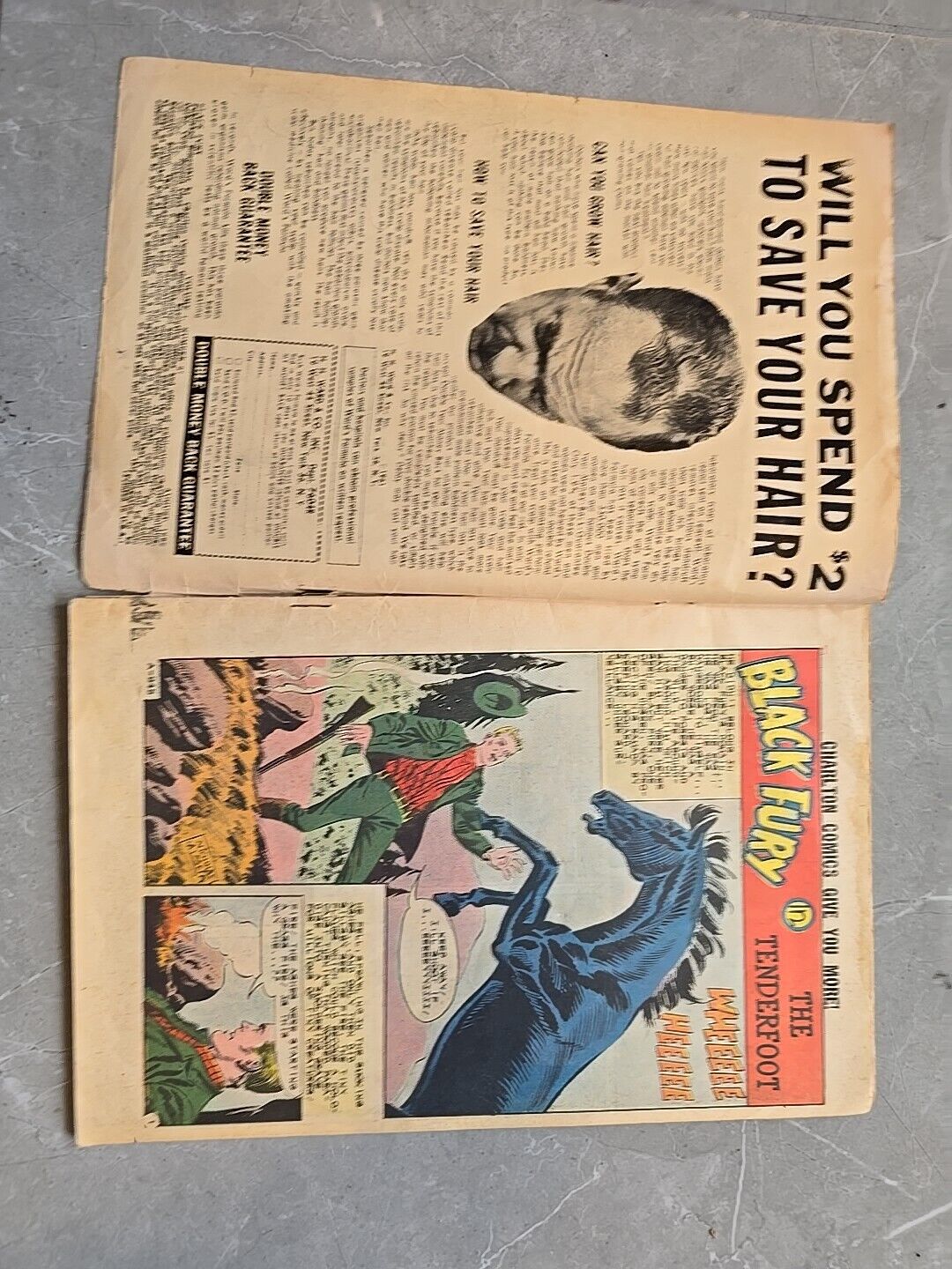 Black Fury #37 Charlton 1962 Comic Book BLACK HORSE STALLION YELLOW VICTORY
