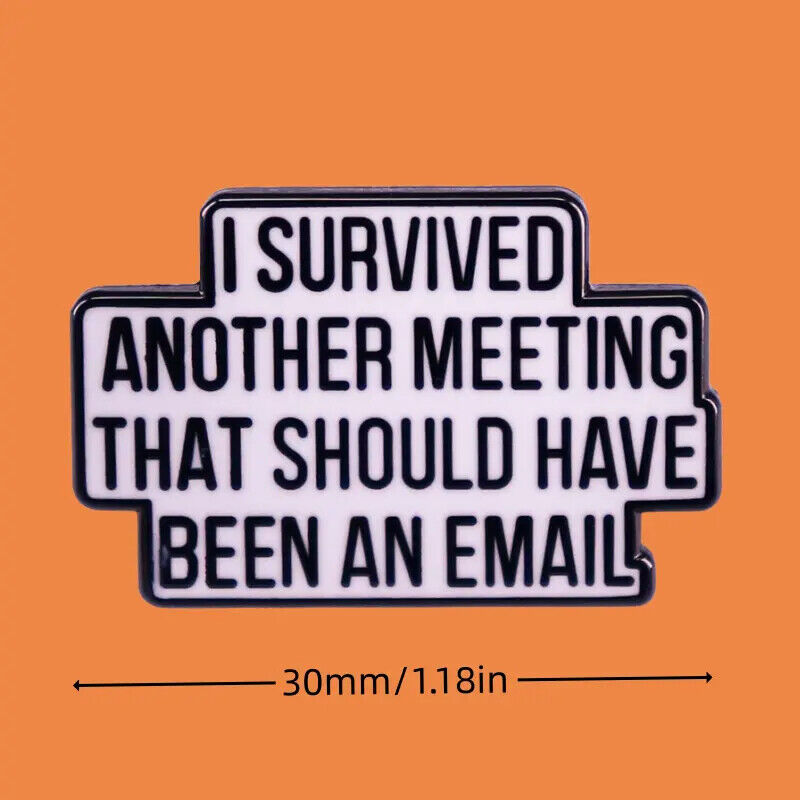 I SURVIVED ANOTHER MEETING THAT SHOULD HAVE BEEN EMAIL Metal Enamel Pin Badge