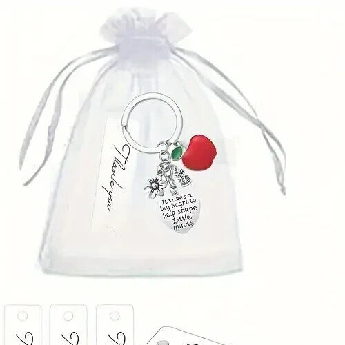 IT TAKES A BIG HEART TO SHAPE LITTLE MINDS TEACHER GIFT Present KEYCHAIN KEYRING