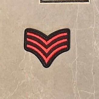 Military Army RAF Patch Badges Iron SEW TOPGUN AIRFORCE FLYING CHEVRON STAR