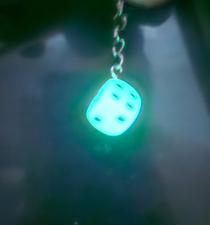 Glow in The Dark DICE KEYRING KEY CHAIN Geek Games D&D GITD GAMES PARTY CASINO