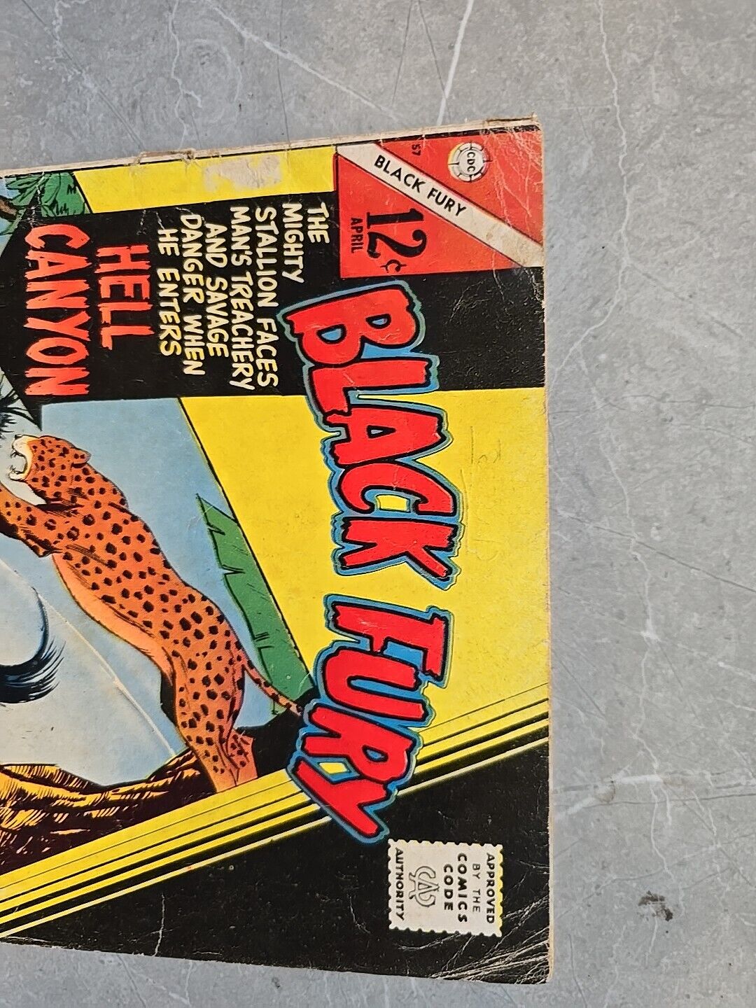Black Fury #57 Hell Canyon Charlton Comics Group 1966 Silver Age LowMid Qual 57