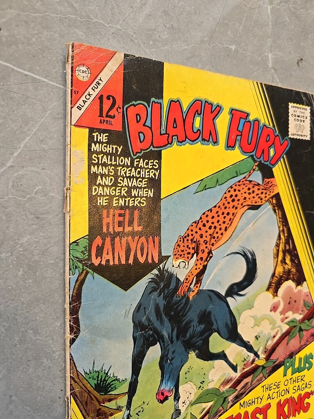 Black Fury #57 Hell Canyon Charlton Comics Group 1966 Silver Age LowMid Qual 57