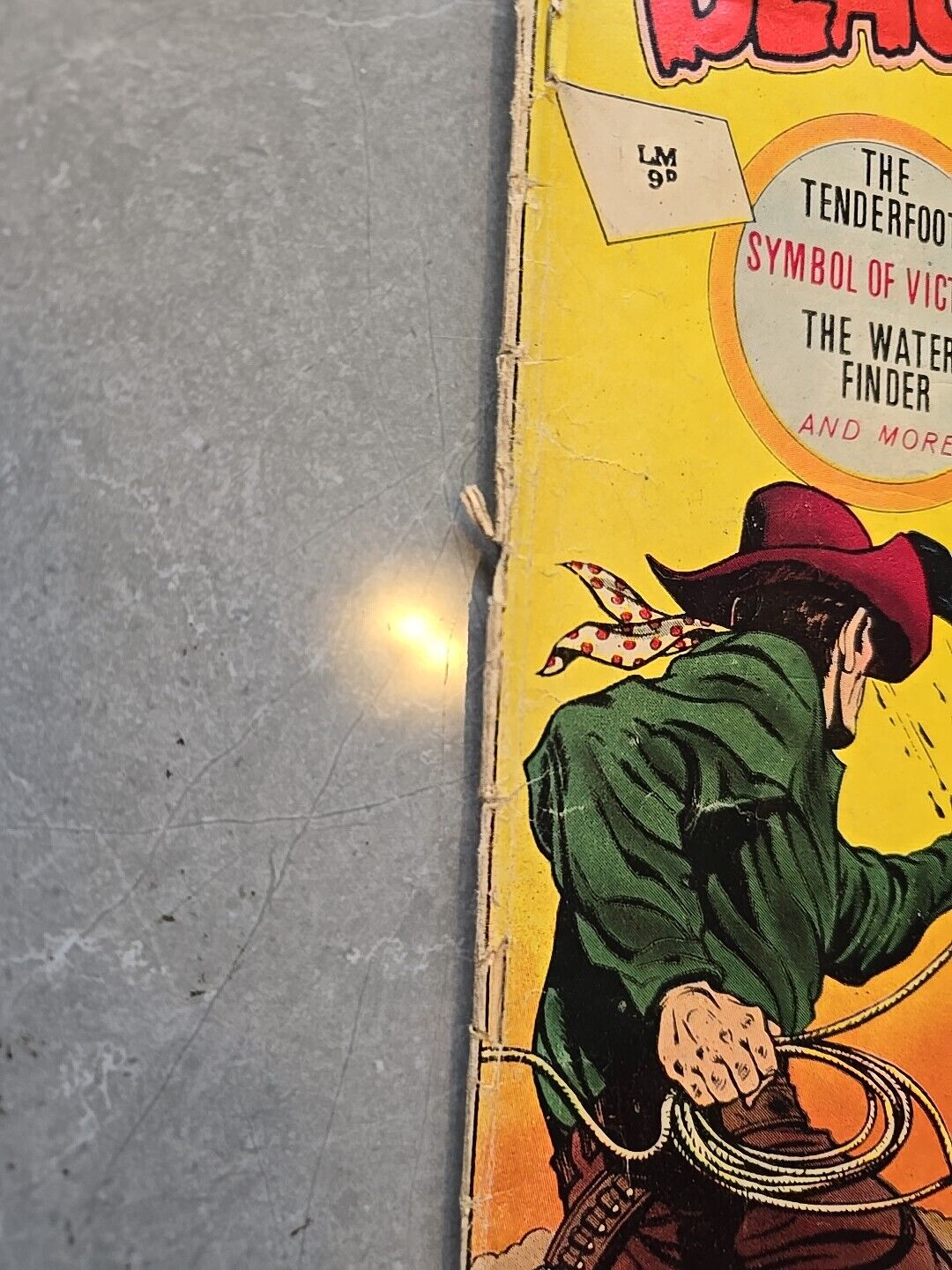 Black Fury #37 Charlton 1962 Comic Book BLACK HORSE STALLION YELLOW VICTORY