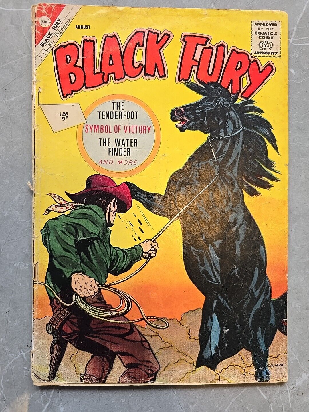 Black Fury #37 Charlton 1962 Comic Book BLACK HORSE STALLION YELLOW VICTORY