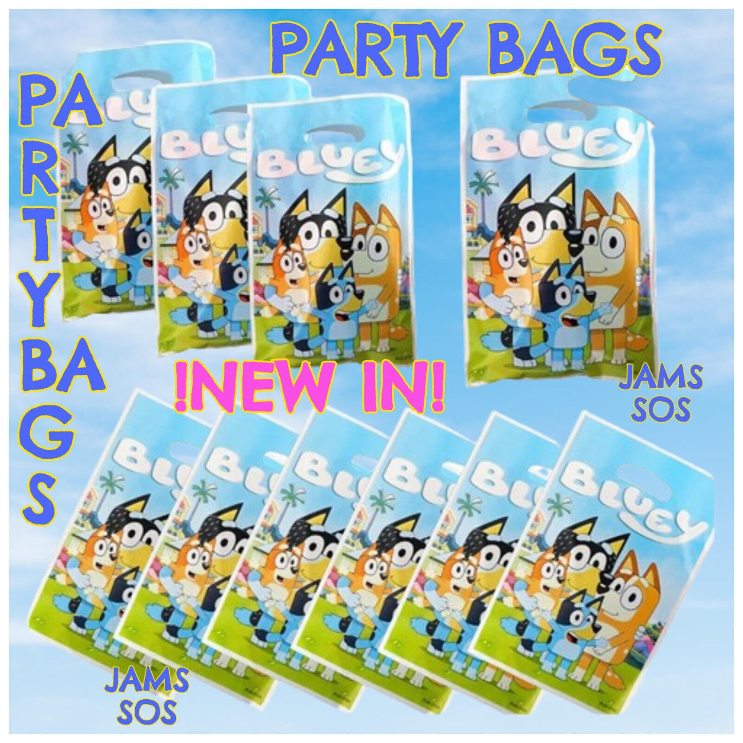 Bluey Party Loot Bags Childrens Birthday Bluey Dog Favour Take Home Bag CBEEBIES
