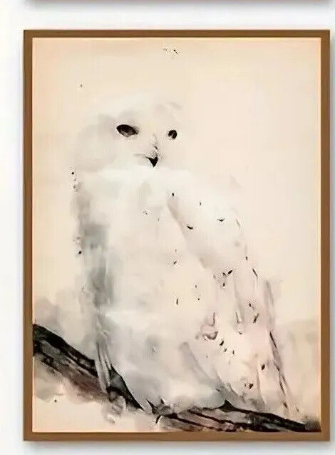 HARRY POTTER Wall Art Movie Poster Print Picture HOGWARTS HEDWIG POTION GLOSS