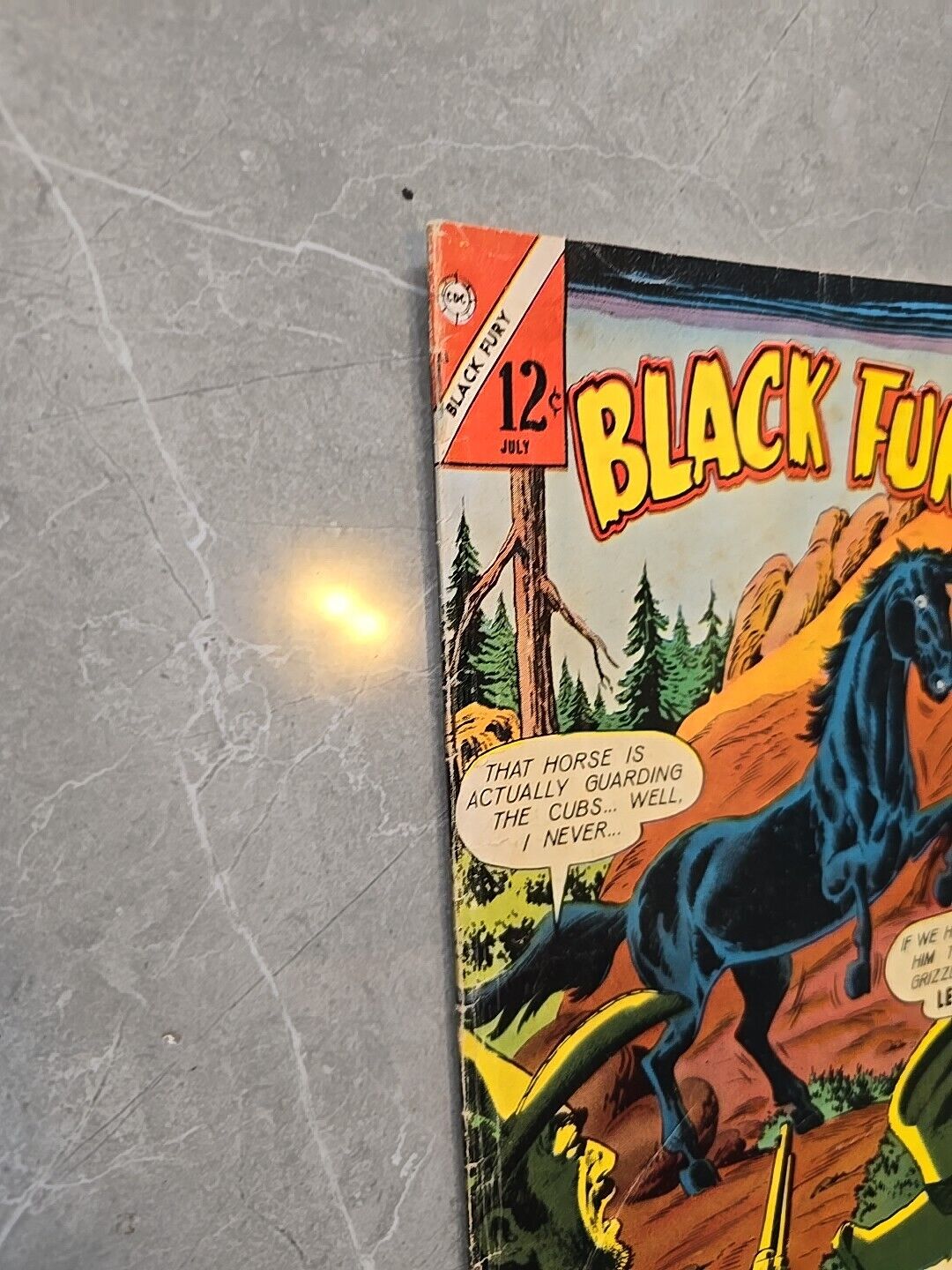 Vintage comic book Black Fury Issue 53 Charlton July 1965 WONDER HORSE STALLION