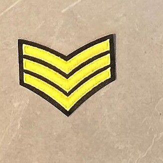 Military Army RAF Patch Badges Iron SEW TOPGUN AIRFORCE FLYING CHEVRON STAR