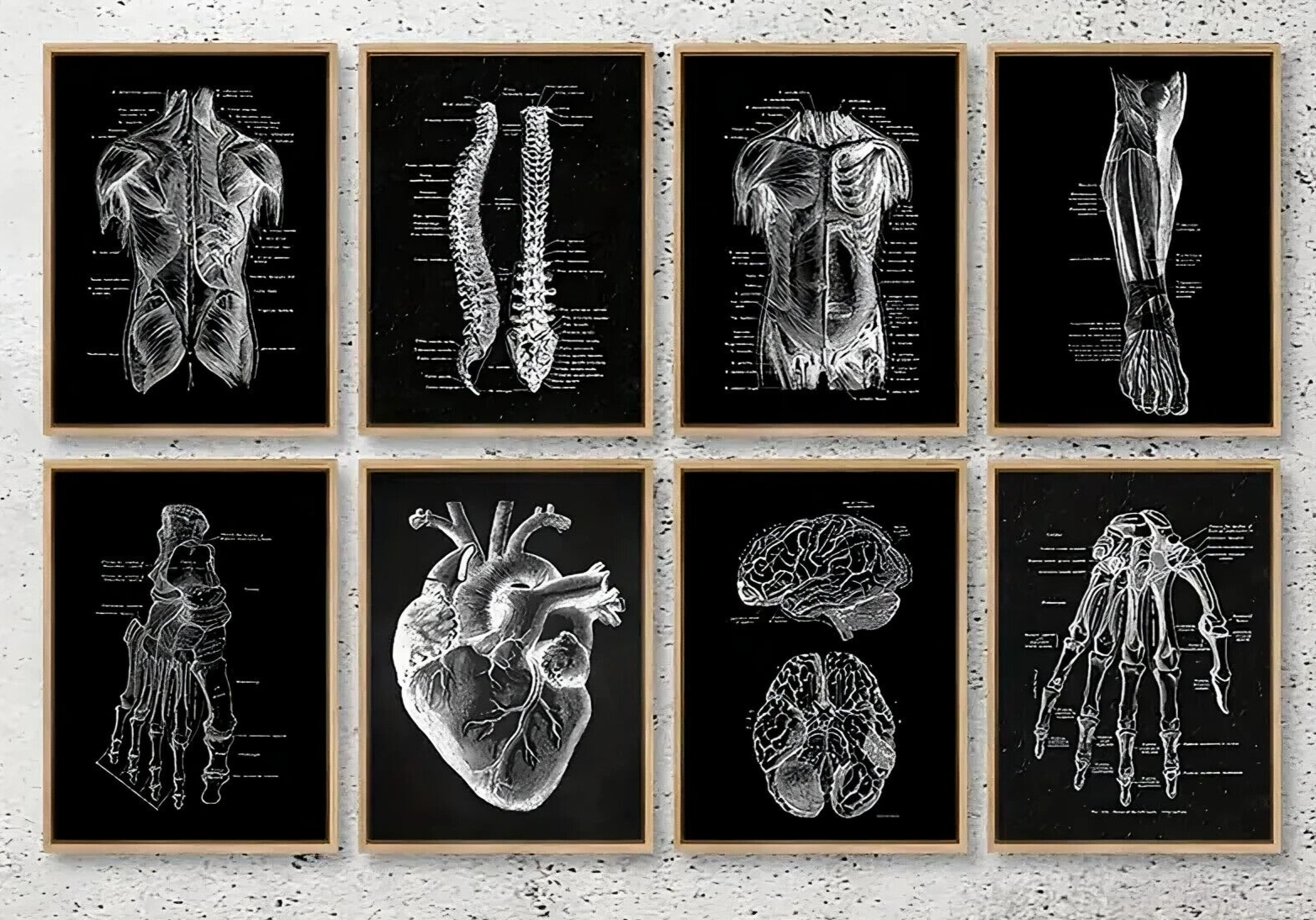 Human Anatomy Medical Wall Art Skeleton Organ Muscle System Canvas Poster DOCTOR