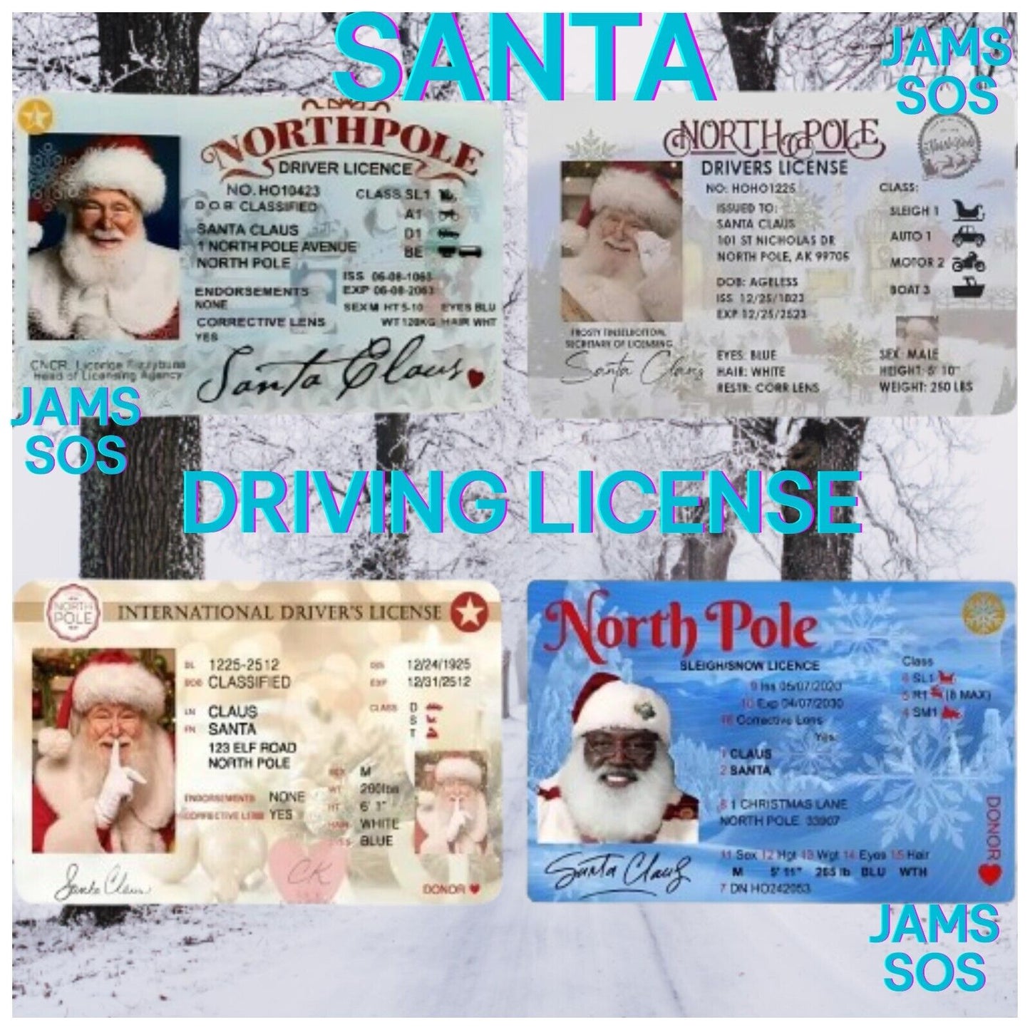 Santa Lost Driving Sleigh Licence Father Christmas Eve Box Gift Xmas ELF SHELF
