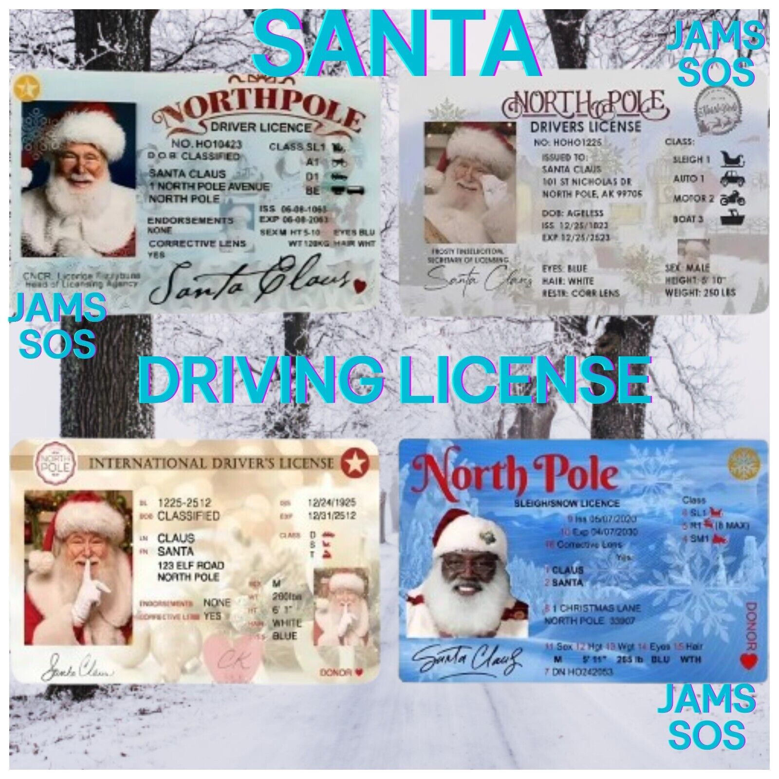 Santa Lost Driving Sleigh Licence Father Christmas Eve Box Gift Xmas ELF SHELF